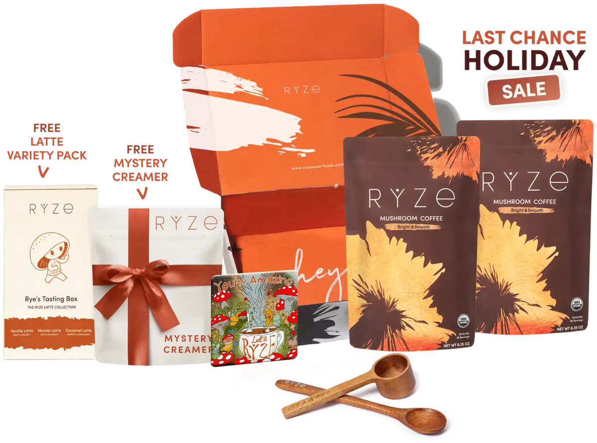 Starter Kit Daily M6B67