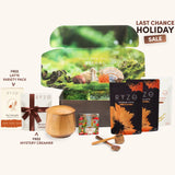 Mushroom Coffee Daily M6B87